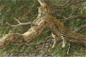 Simon Combes Hand Numbered Limited Edition Fine Art Gicl�e Canvas:"Chui"