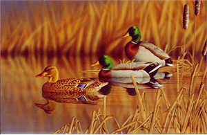 Richard Clifton Limited Edition Print:"Afternoon Mallards"