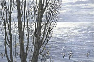 Robert Bateman Hand Signed And Numbered Limited Edition Print:"Poplar Tree and Buffleheads "