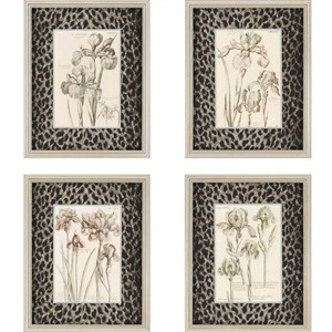 Malanta Knowles Deluxe Framed Print: "Iris Botanicals Pk/4"