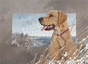 Michael Sieve Original Oil Painting:"Great Bird Dogs-Yellow Lab"
