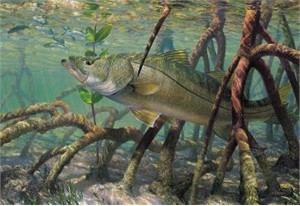 Mark Susinno Hand Signed & Number Limited Edition Print:"Mean Streak - Snook"